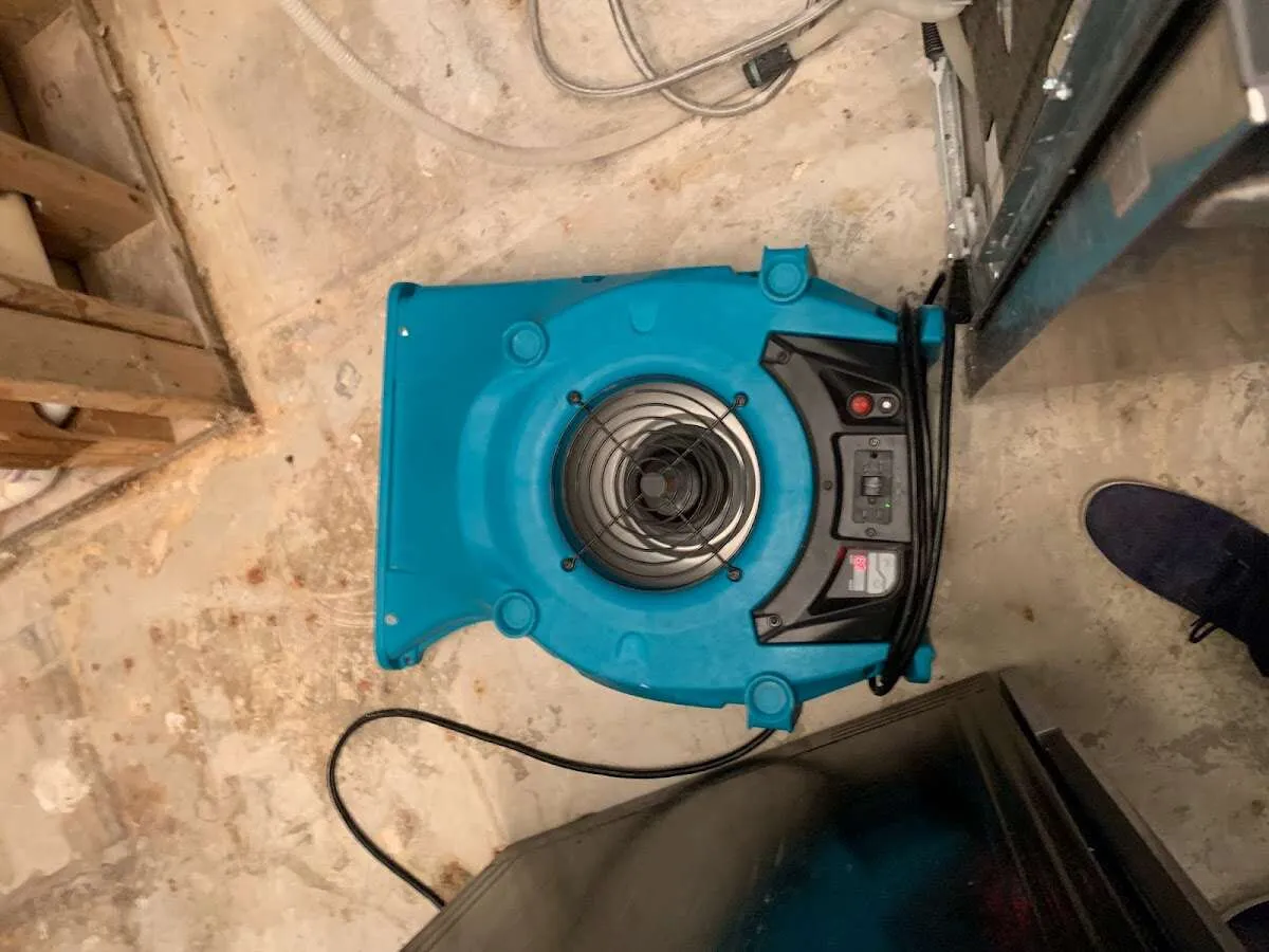 Air mover drying equipment for Mold Remediation & Removal in Flagstaff